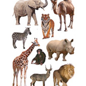 Zoo Animal Stickers, 90/Pk