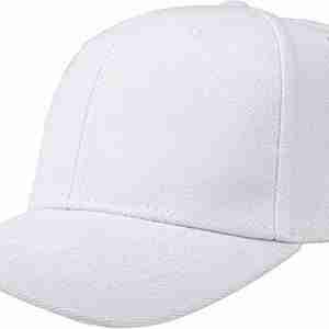 Painters Cap