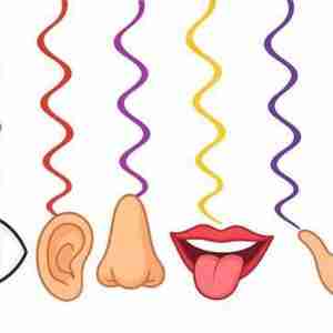 5 Senses Hanging swirl