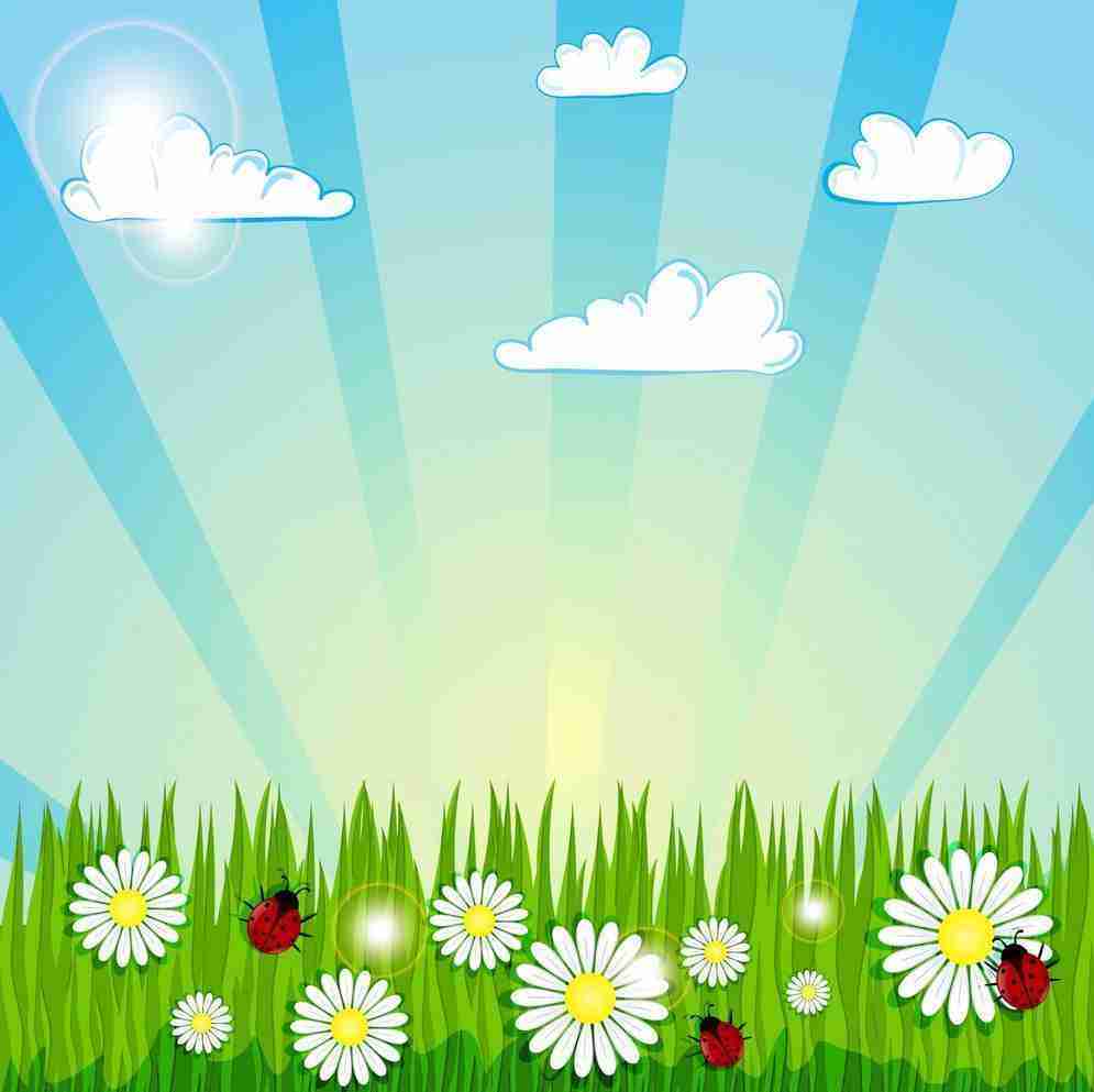 Spring/Summer